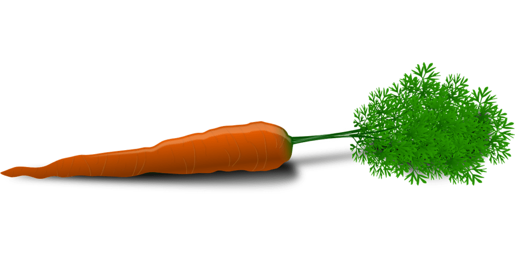 carrot, root crop, vegetable-33625.jpg