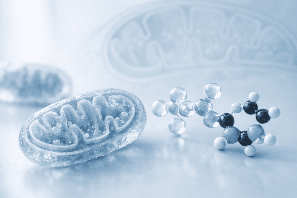Cellular mitochondria and ATP molecular structure illustrating how energy boosting vitamins work at cellular level