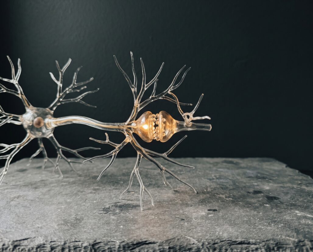 peptides-for-cognition hero