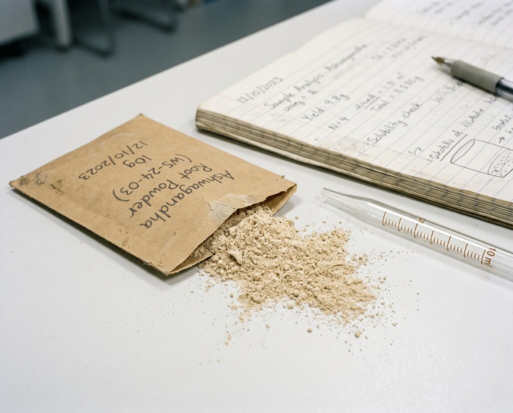 best-adaptogens-for-stress body-2