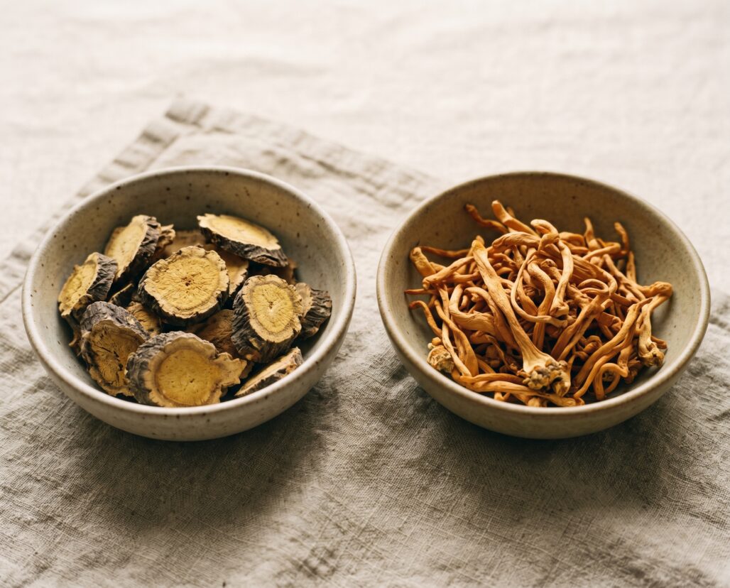 rhodiola-vs-cordyceps hero